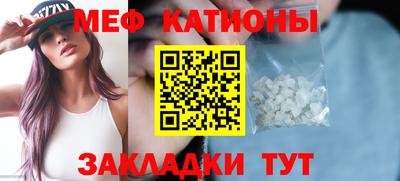 прущие грибы Славянск-на-Кубани