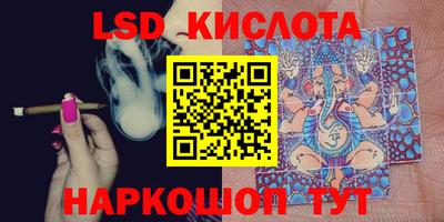 прущие грибы Славянск-на-Кубани