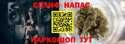 прущие грибы Славянск-на-Кубани