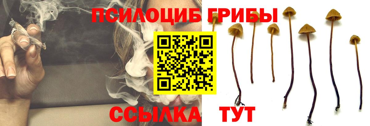 Галлюциногенные грибы прущие грибы  Вход с VPN  Надым 